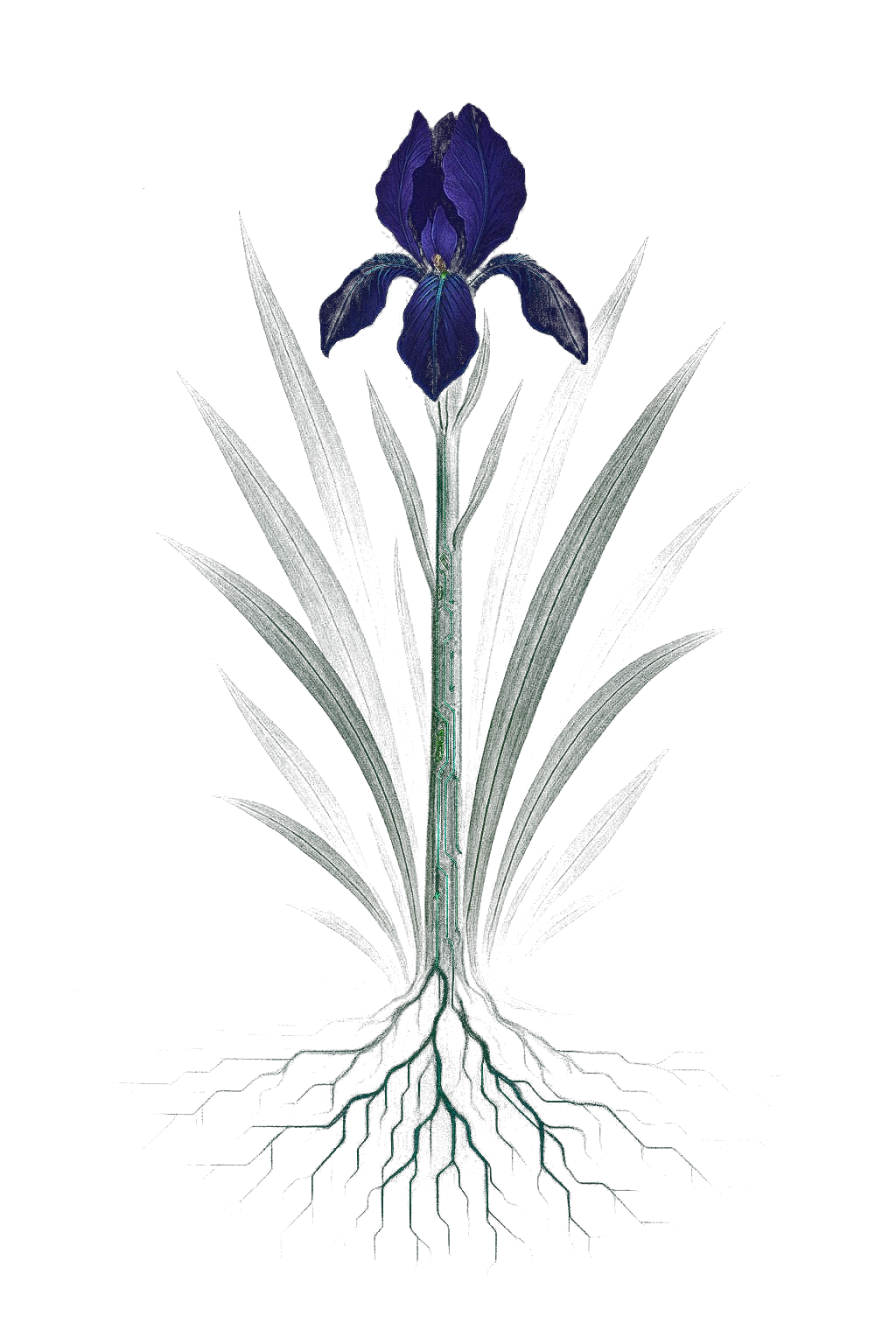 The Lost Ones Project